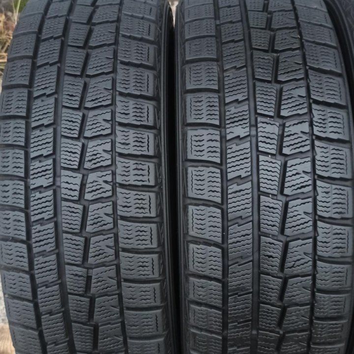 175/65R14 Dunlop winter maxx WM-01