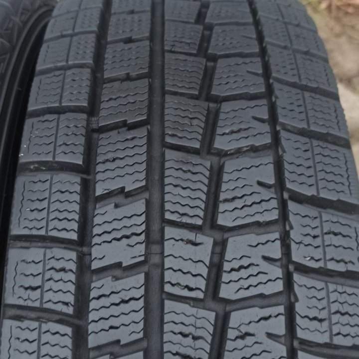 175/65R14 Dunlop winter maxx WM-01