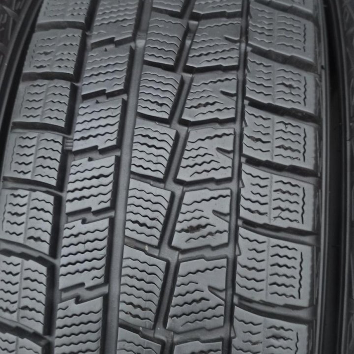 175/65R14 Dunlop winter maxx WM-01