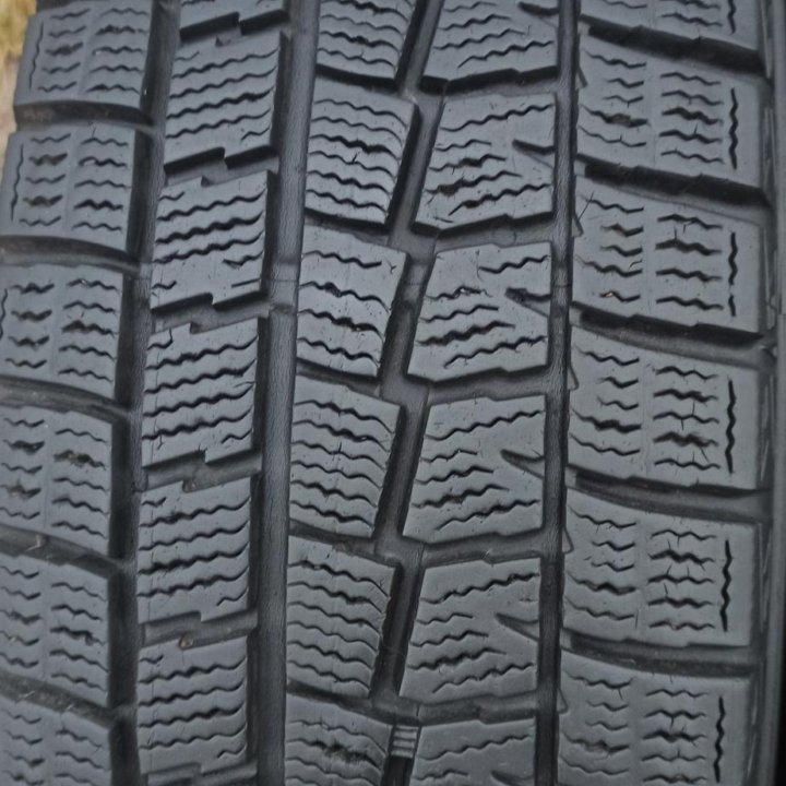 175/65R14 Dunlop winter maxx WM-01