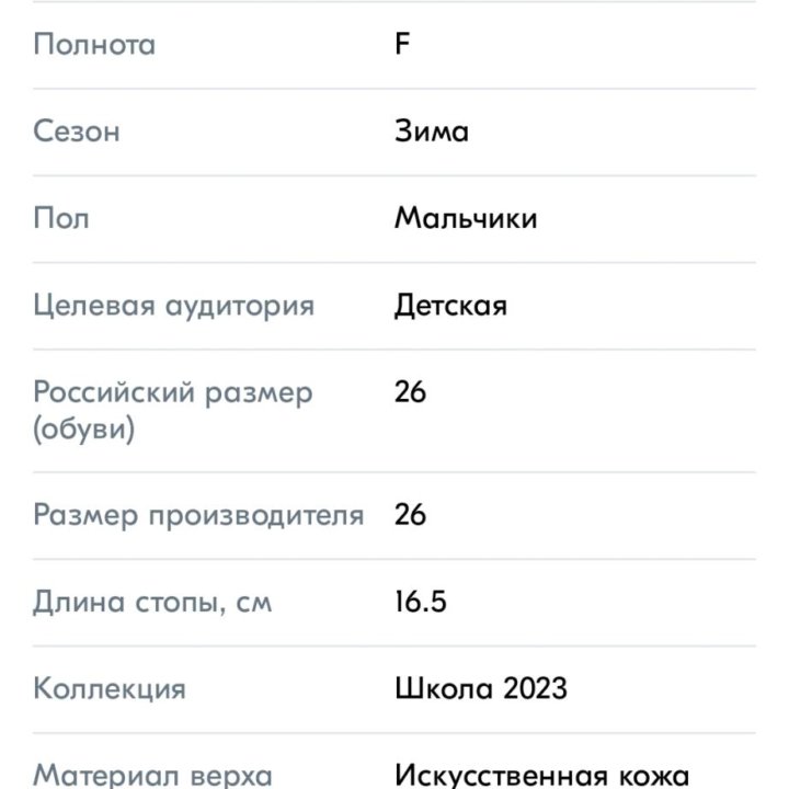 Зимние ботинки для мальчика