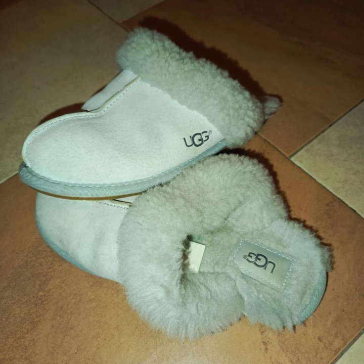 Тапочки UGG