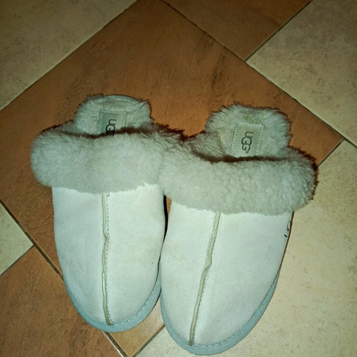 Тапочки UGG