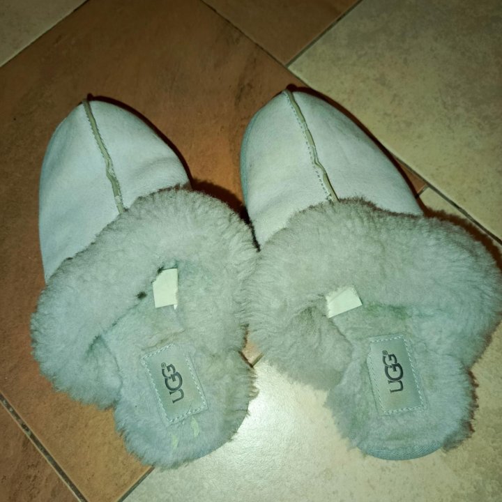 Тапочки UGG