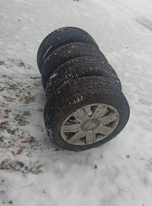 Cordiant Winter Drive 195/65 R15