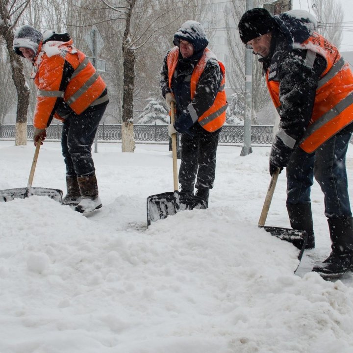 ЗЕМЛЕДЕЛЬЦЫ - РАЗНОРАБОЧИЕ