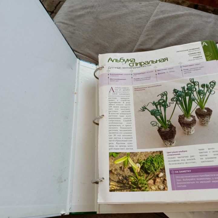 Энциклопедия цветов и комнатных растений Deagostin