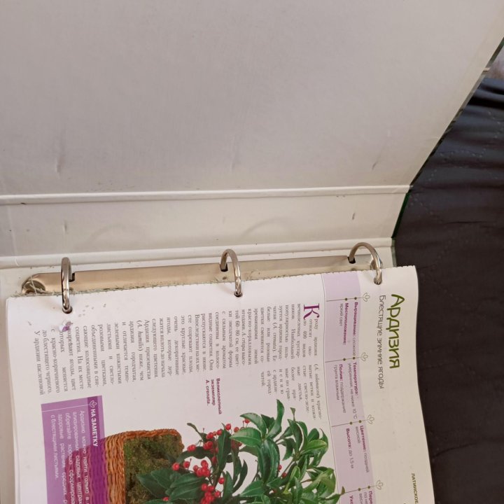 Энциклопедия цветов и комнатных растений Deagostin