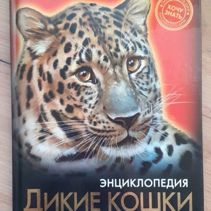 Книга про диких кошек