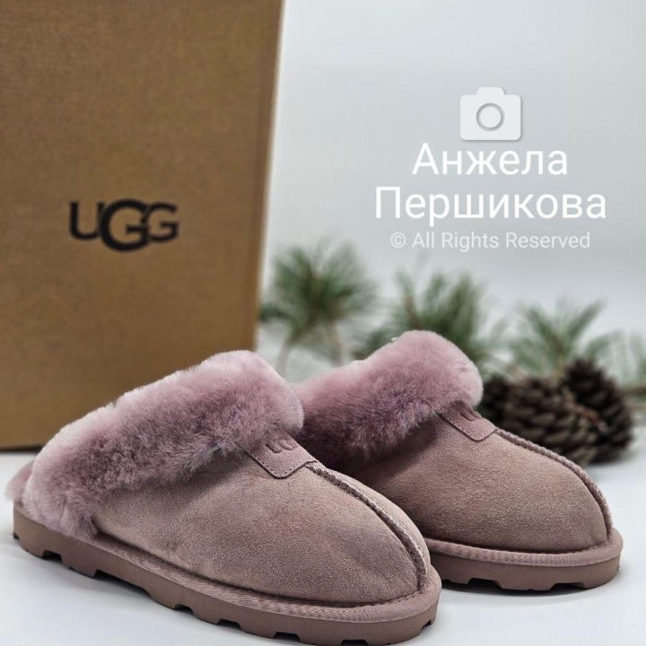 Ugg Slippers Scufette Grey