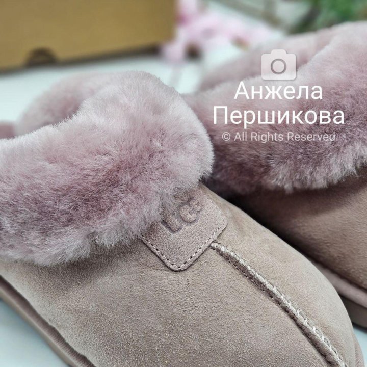 Ugg Slippers Scufette Grey
