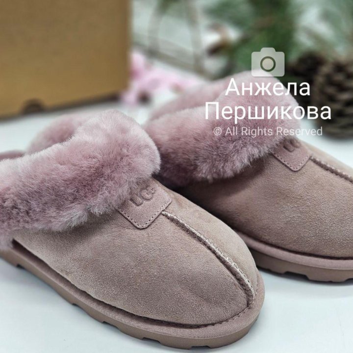 Ugg Slippers Scufette Grey