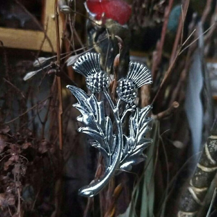 Брошь ЧЕРТОПОЛОХ