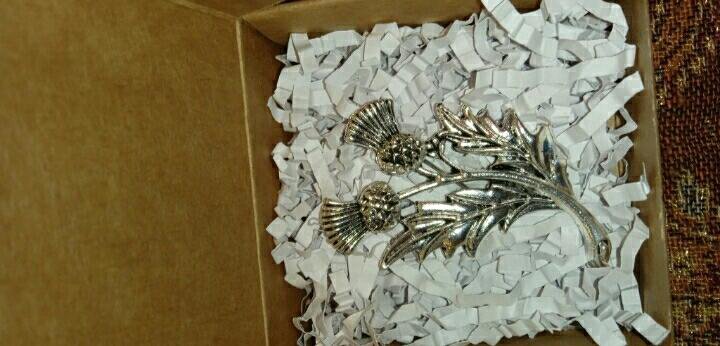 Брошь ЧЕРТОПОЛОХ