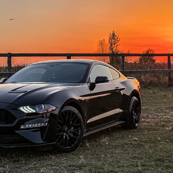 Ford Mustang, 2019