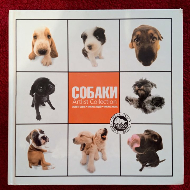 Собаки. Artlist Collection.