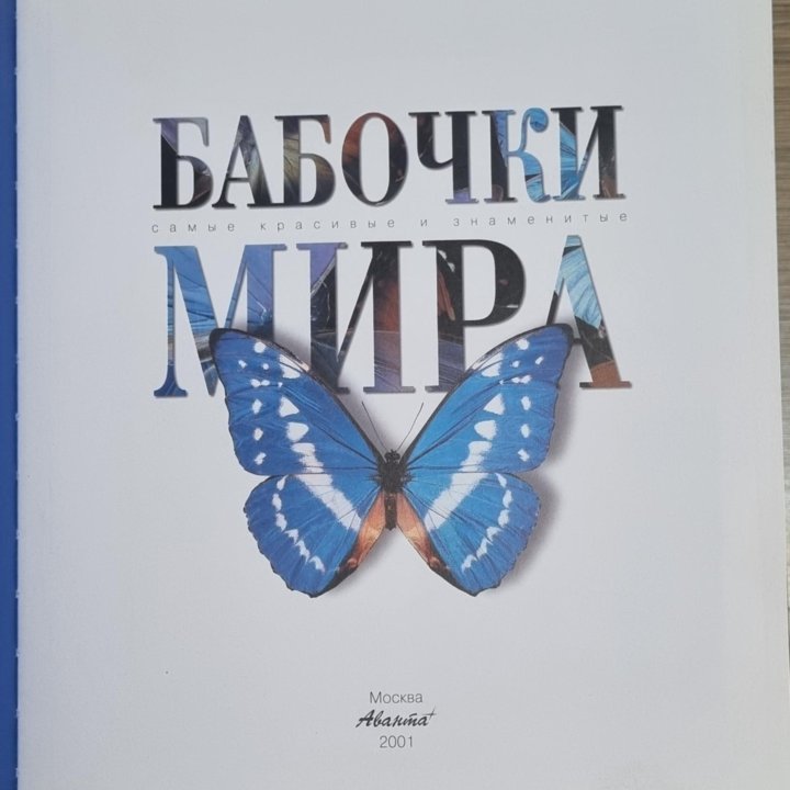 Бабочки Мира