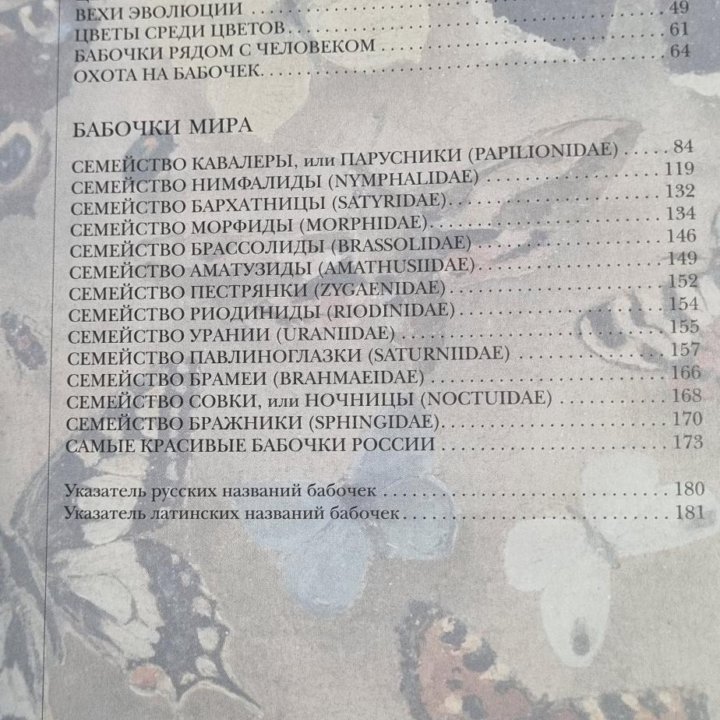 Бабочки Мира