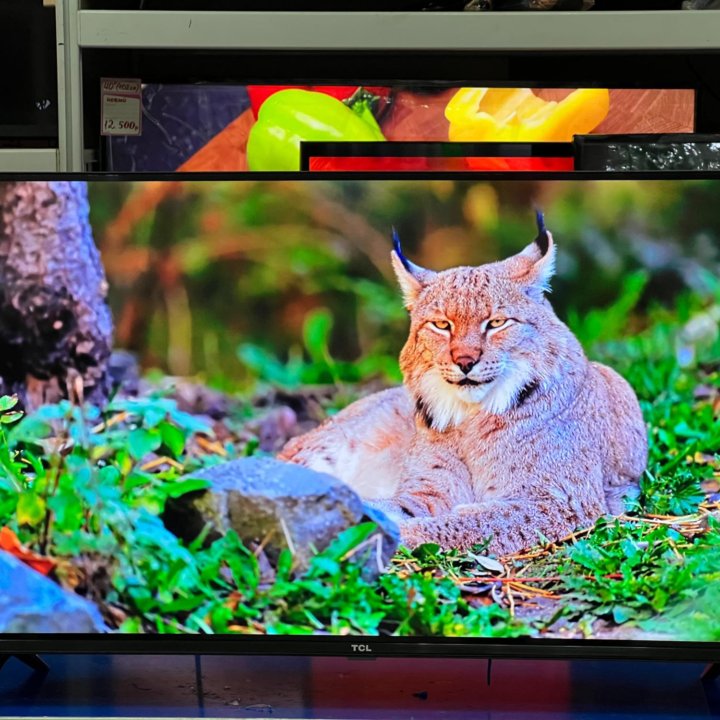 Новый Full HD TCL 32S5400 32