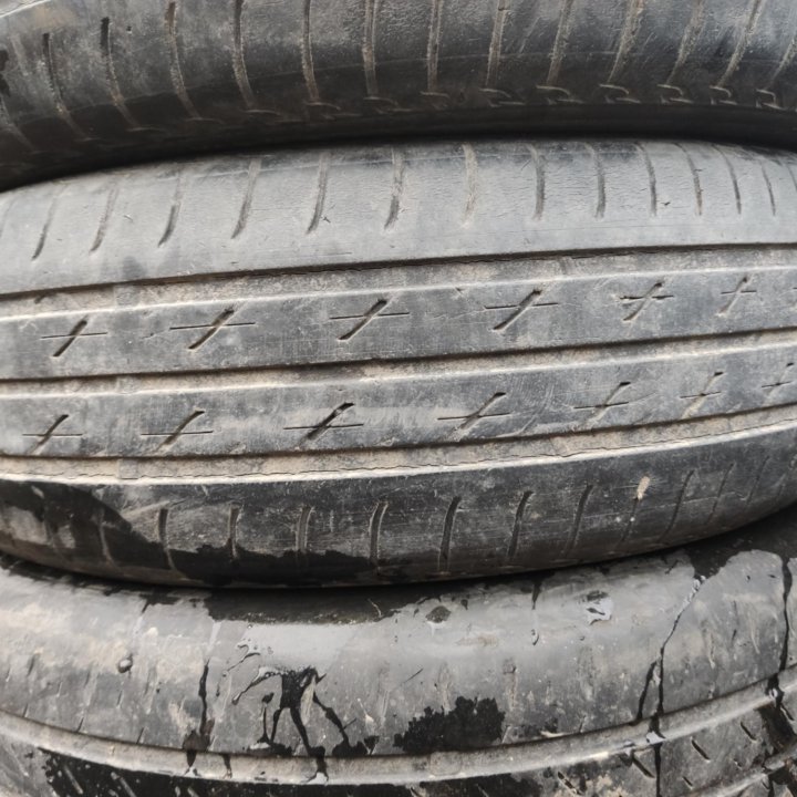 Bridgestone Ecopia, 195/65/15