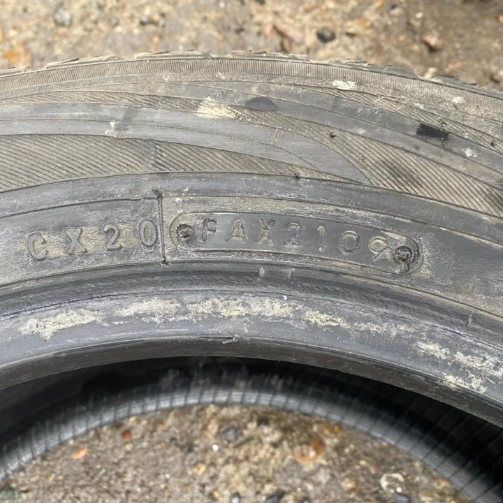 2шт. 205/60 R16 TOYO ЗИМА