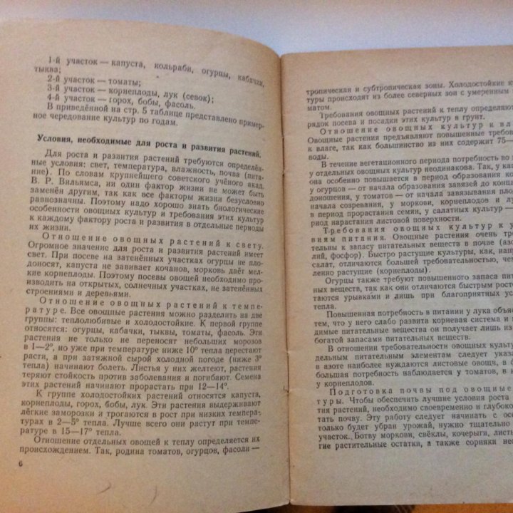 Огород, цветник для дошкольного воспитания.