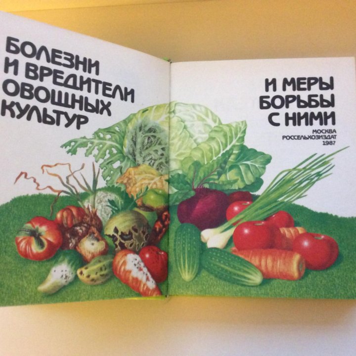 «Болезни и вредители овощных культур»