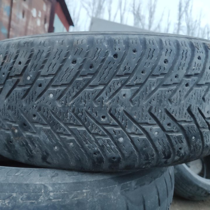 Nokian Hakkapeliitta 8, 205/55/16 поштучно