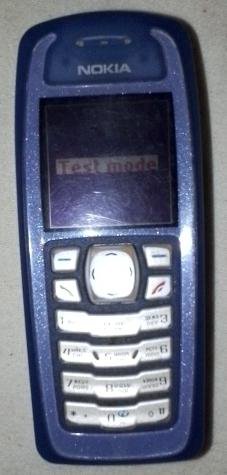 Nokia 3100