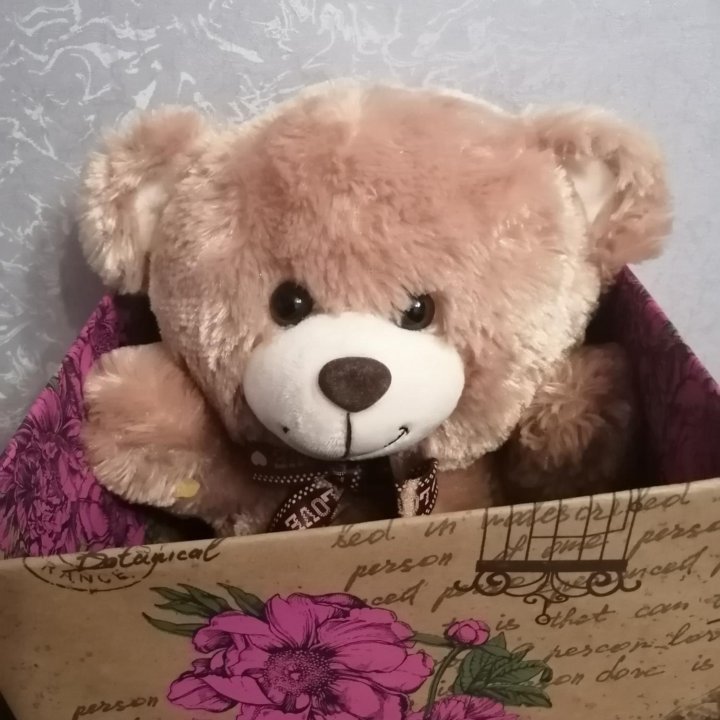 Плюшевый медведь в коробочке