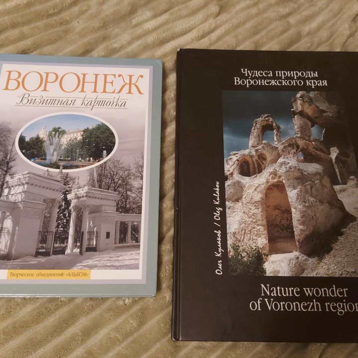 Книги про Воронеж