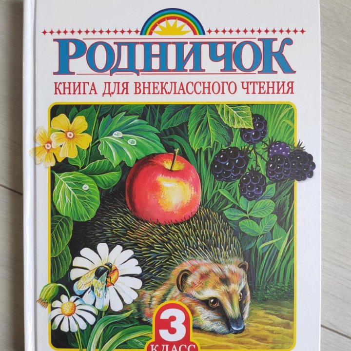 Родничок, 3 класс