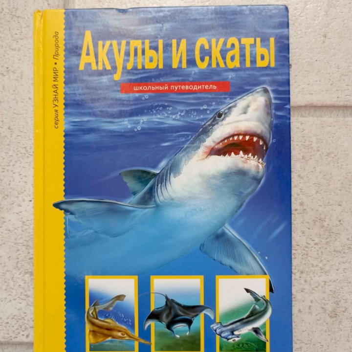 Книга Акулы и скаты