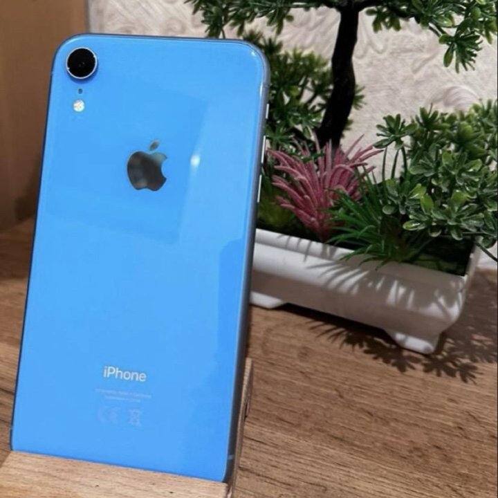 iPhone XR голубой