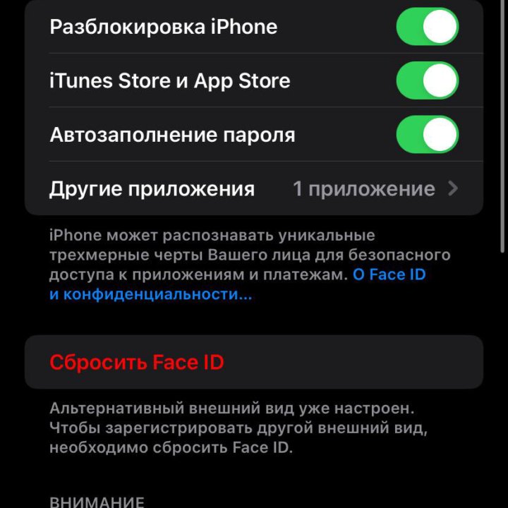 iPhone XR голубой