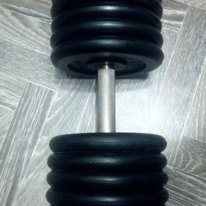 Гантель Профи неразборная MB Barbell 53,5кг