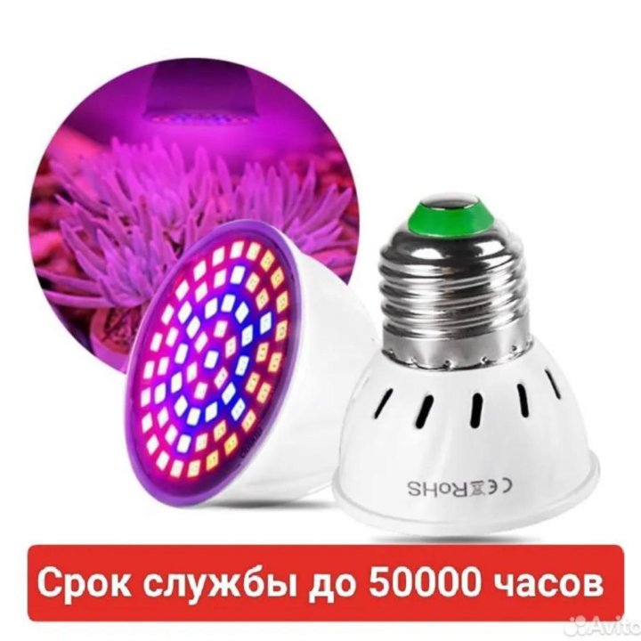 Фито Лампа. Для растений. 60 LED.