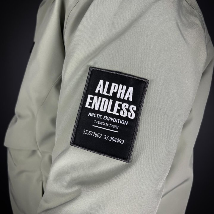 Куртка горнолыжная Alpha Endless мужская