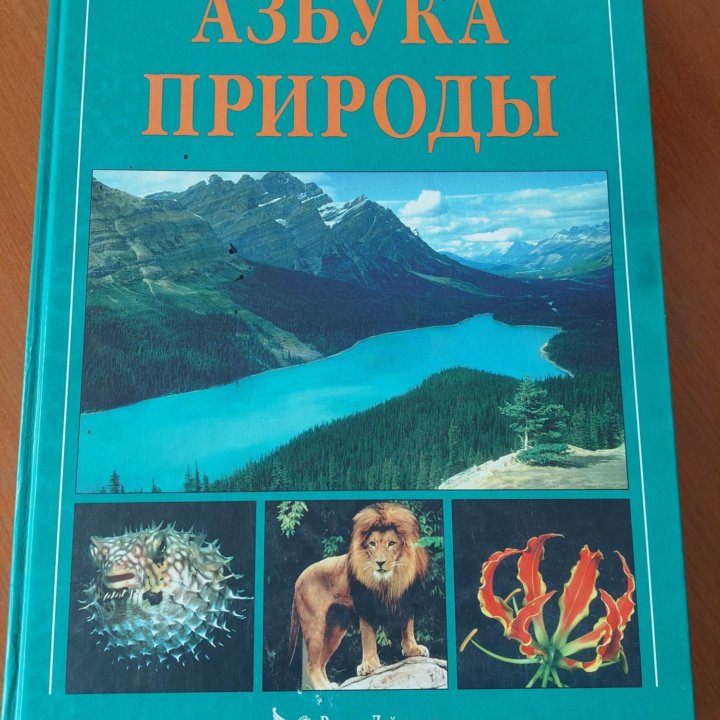 Азбука природы, Культура, ЗОЛОТОЕ КОЛЬЦО