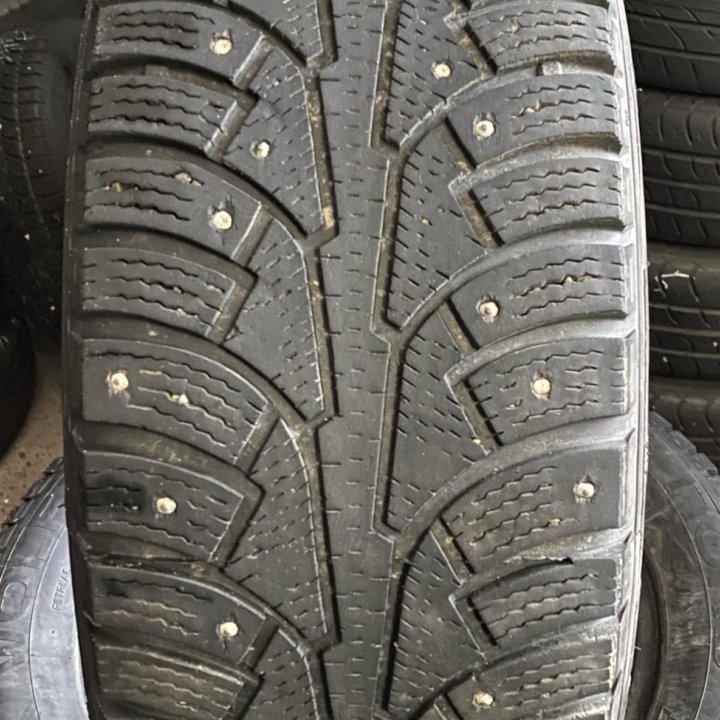 Nord Wolf 205/55 R16❄️