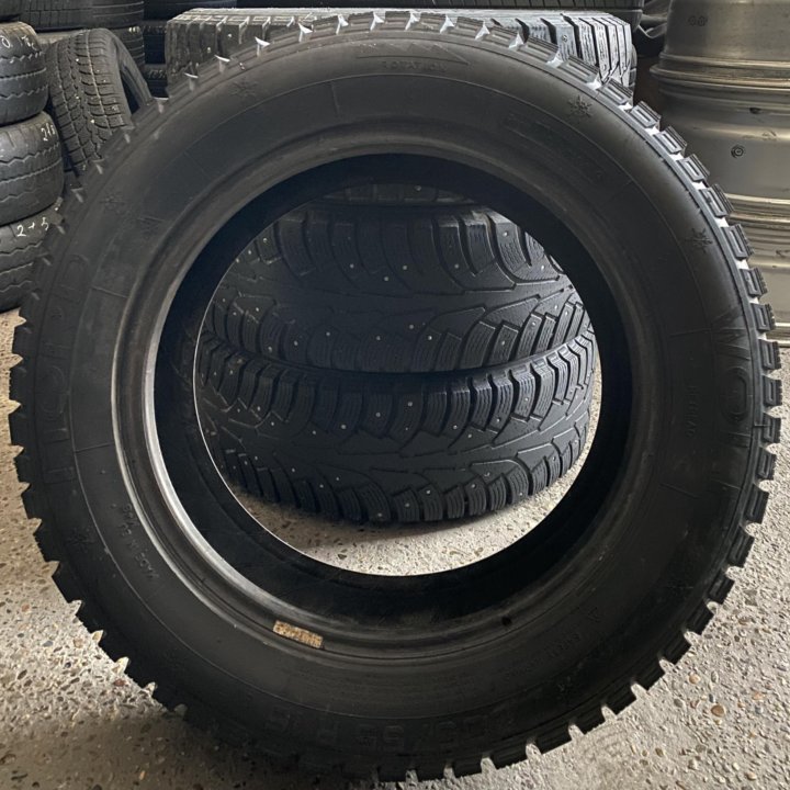 Nord Wolf 205/55 R16❄️