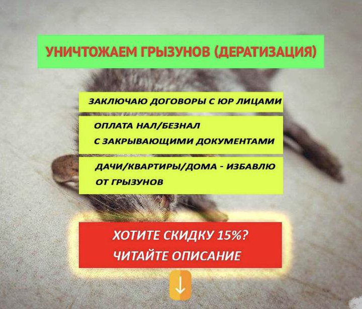 Уничтожение клопов и тараканов. Дезинсекция