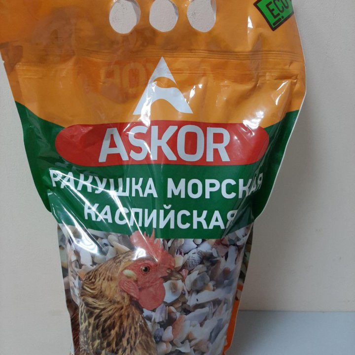 Ракушка морская для птиц