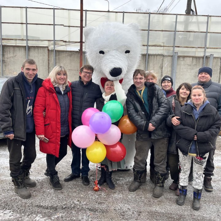 Белые Бурые медведи, панда, зайчик чебурашка