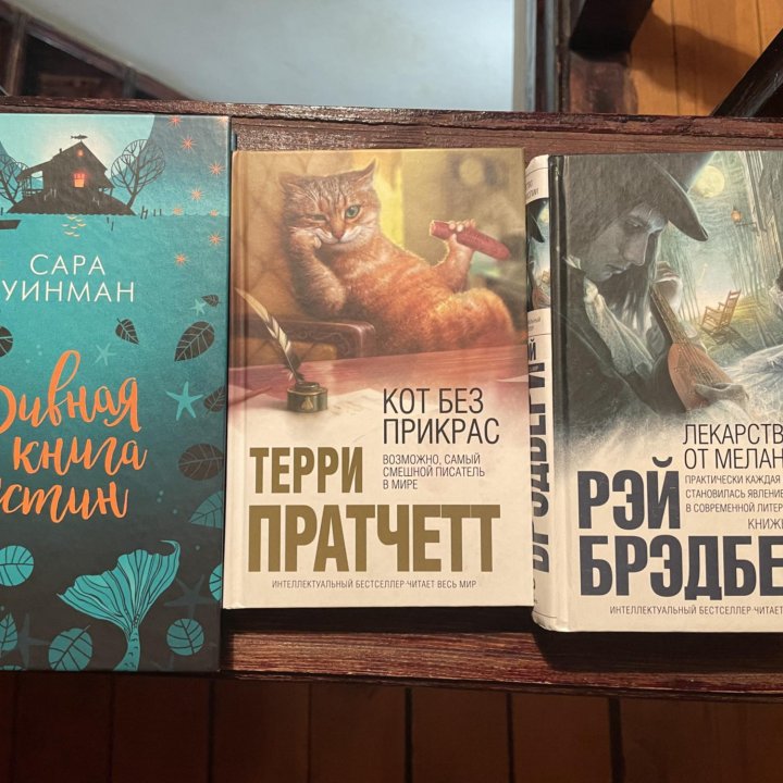 Книги Сара Уинман,Бредбери,Терри Пратчетт