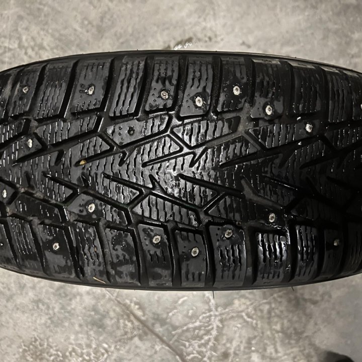 Шина зимняя Nokian Hakkapeliitta 7 195/55 R16 XL