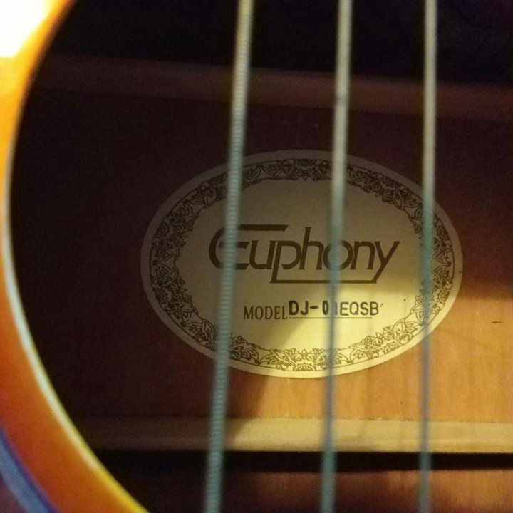 электроакустическая гитара EUPHONY made in U.S.A.