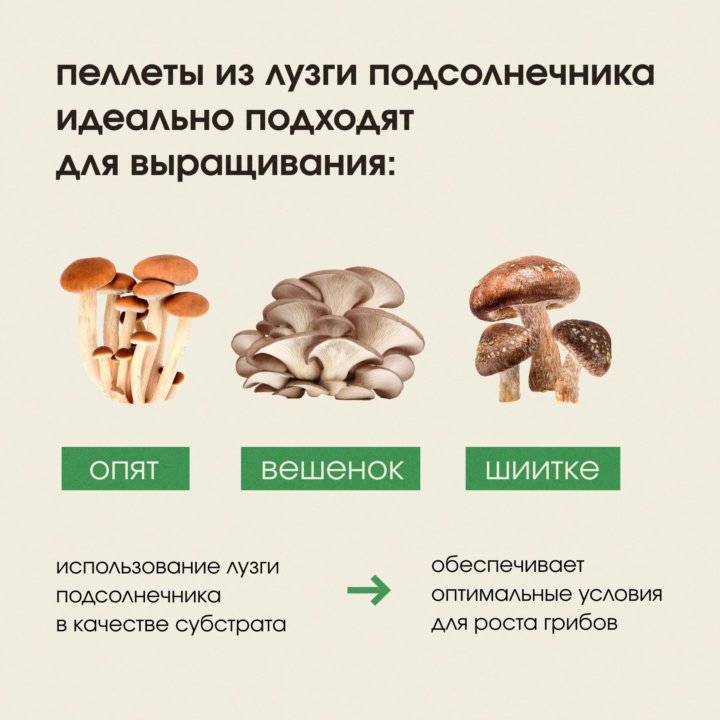 Субстрат для грибов, пеллеты. Лузга подсолнечника