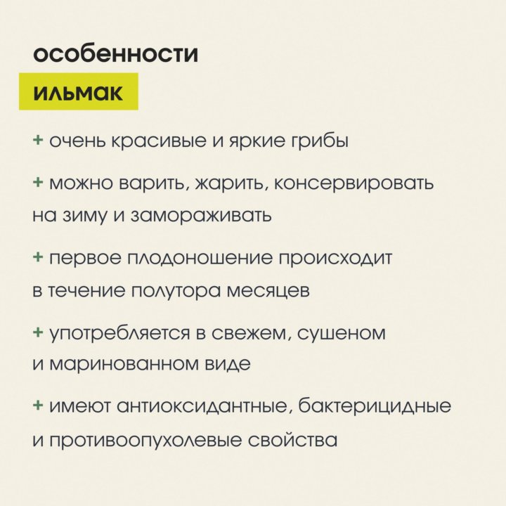 Мицелий грибов вешенки лимонной «Ильмак»