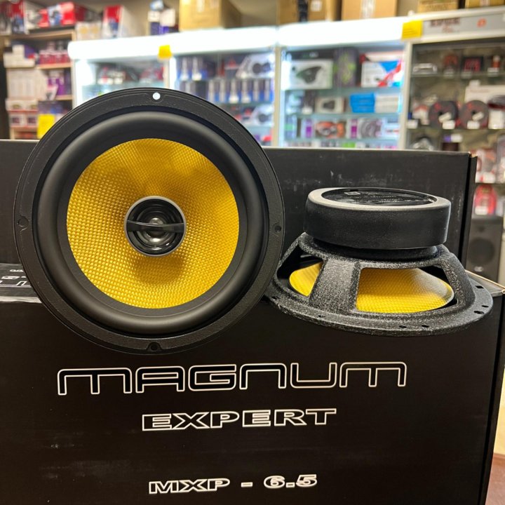 Динамики Magnum Expert MXP-6.5 коаксиальные 16,5 с